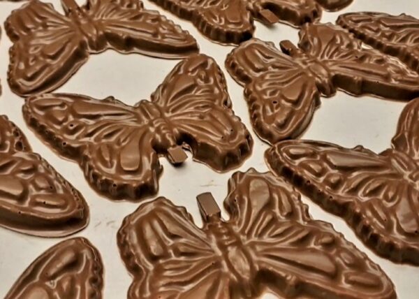 chocolate butterfly